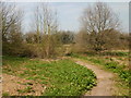 Path through wasteland, Old St Mellons