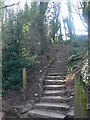 Footpath on Bryn Euryn