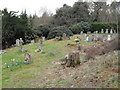 Spring in the churchyard at West Lavington