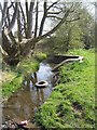 Waterhead Brook upstream at Waterhead Drive