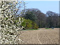 Sussex Border Path, Rusper