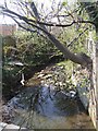 Waterhead Brook downstream of Stafford Road