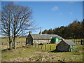 NO4064 : Hillside Cottage, Glenmoy, Angus on 14.04.10 by jamesnicoll