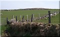 Improved sheep pastures with the summit of Mynydd Cennin in the background