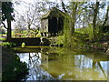 River Mole at Baldhorns Park