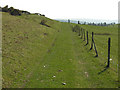 Old track above Allt-goch woods