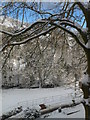 Snowy scene in Cyffylliog