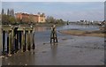 Tea Rose Wharf jetty