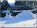 Snow sculptures at the Drovers