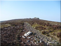SO3799 : The path approaching the Stiperstones ridge from the north by Jeremy Bolwell