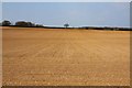 Arable field near Marlow