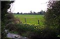 Grassy fields at Bourne End