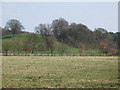 Grazing land and woodland north of the Long Plantation