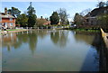 Village Pond, Goudhurst