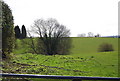 Valley south of Lidwells Lane