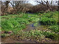 Watercourse near Ambleston