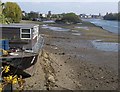 Thames at low tide