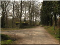 Bridleway and track junction in Bedgebury Forest