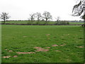 Fields near Sytches Farm