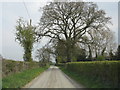 Lane approaching Twyford corner