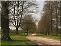 Driveway from Combwell Priory Farm