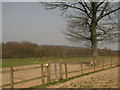 Stiles near Combwell Priory Farm