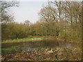 Pond near Combwell Priory Farm