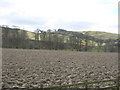 Ploughed field at Branxholme