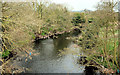 The River Lagan at Hilden