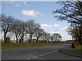 Abb Scott Lane and the cemetery wall from Fenwick Lane