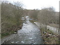 The River Teviot from Martin