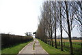 Tree lined Vanguard Way, Stonery Farm