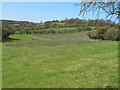 Vineyard at Radnage