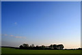 Trees surrounding Arbury