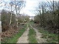 Track leading to Derwent Manor Hotel