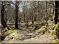 Riverside path at Invergarry