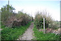 Bridleway entering Alfriston