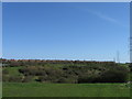 View NE from Station Road, Boldon Colliery