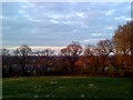 Trees in the park at Bramcote