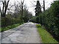 Burnt Oak Road entering High Hurstwood