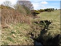 Tributary, Afon Pen-y-graig