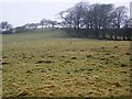 SD2377 : Rough grazing, Marton by Maigheach-gheal