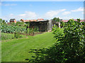 Allotments in Uppingham