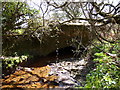 Brimford Bridge, the first bridge over the river Torridge as seen from downstream