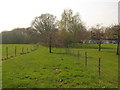 TQ7330 : Sussex Border Path beside Delmonden Green Farm by David Anstiss