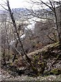 River Findhorn below Kyllachy House