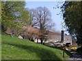 Spring at Coleton Fishacre