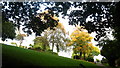 Alexandra Park Autumn