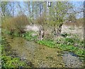 River Bourne, Idmiston