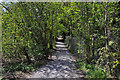 Footpath to Forest Farm Country Park - Coryton